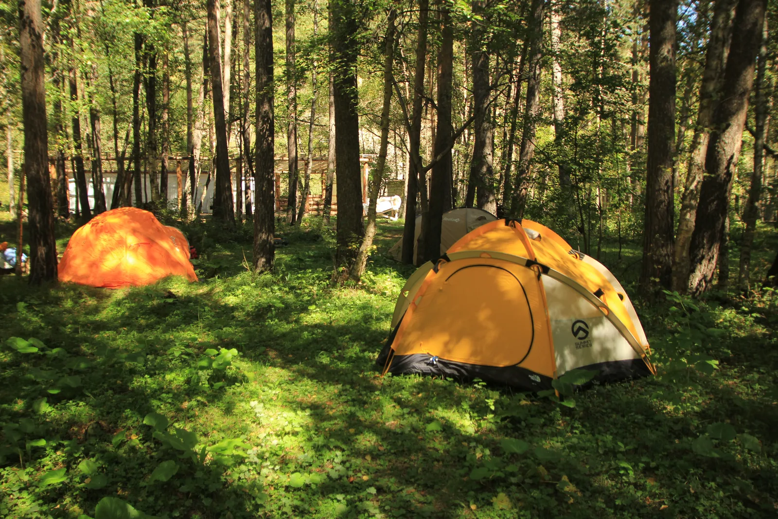 Tents on a green clearing
