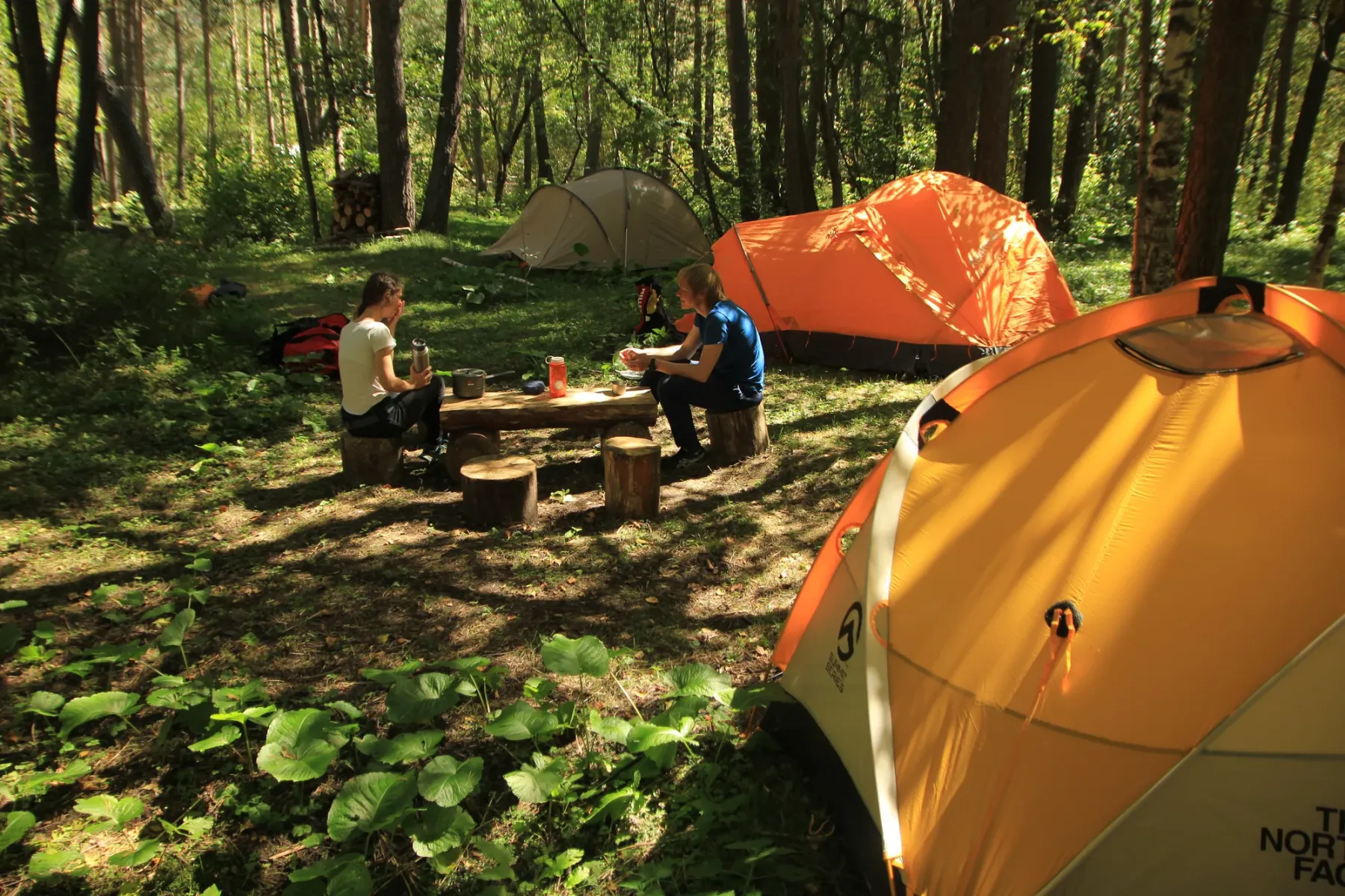 Tents at Camping Caucasus among trees